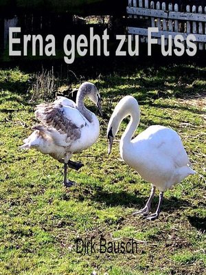 cover image of Erna geht zu Fuss